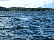 P7119244