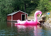 P7119258