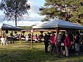 DSC00623