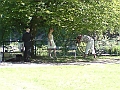 DSC00868