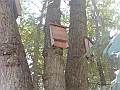 DSC00899