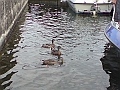 DSC00932