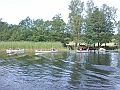 DSC00934