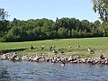 DSC00939