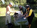 Bild-213