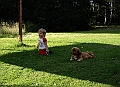 Bild-214