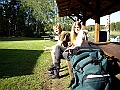 Bild-222