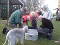DSC01053