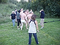Bild-119