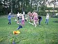 Bild-121