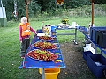 Bild-137