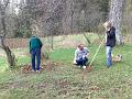 Bild-301